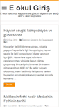 Mobile Screenshot of eokulgiris.com
